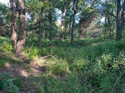Live Water Property with Leon River Frontage in Gatesville - image 50