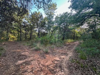 Live Water Property with Leon River Frontage in Gatesville - image 38