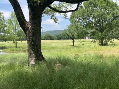 Spectacular 60 acre property that checks all of the boxes. - image 1