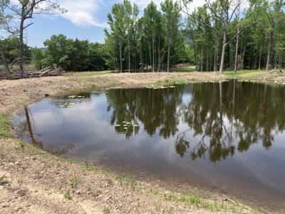 Spectacular 60 acre property that checks all of the boxes. - image 37