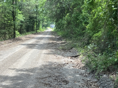 Spectacular 60 acre property that checks all of the boxes. - image 39