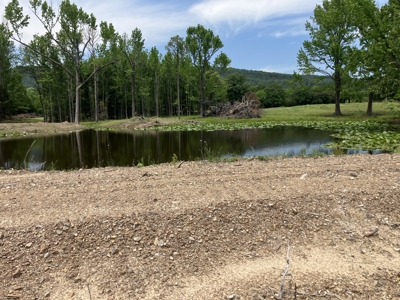 Spectacular 60 acre property that checks all of the boxes. - image 9