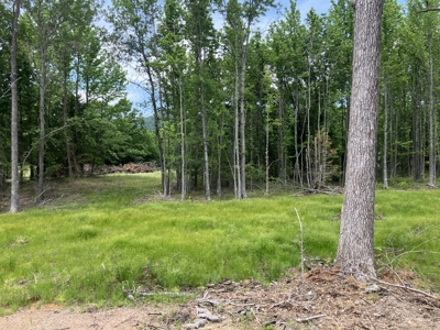 Spectacular 60 acre property that checks all of the boxes. - image 12