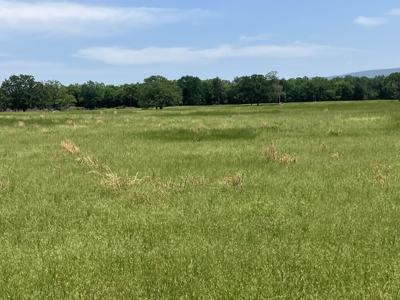 Spectacular 60 acre property that checks all of the boxes. - image 27