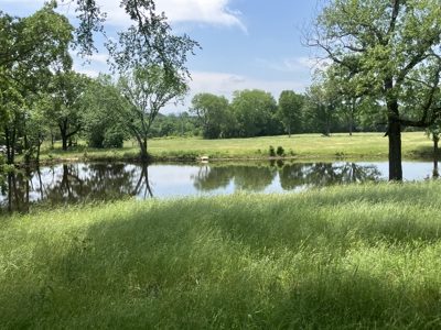 Spectacular 60 acre property that checks all of the boxes. - image 8