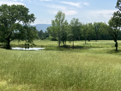 Spectacular 60 acre property that checks all of the boxes. - image 13