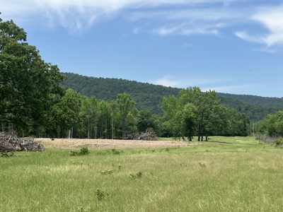Spectacular 60 acre property that checks all of the boxes. - image 14