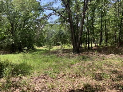 Spectacular 60 acre property that checks all of the boxes. - image 33