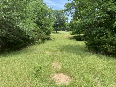 Spectacular 60 acre property that checks all of the boxes. - image 35