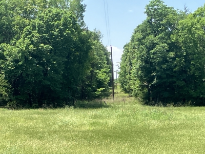 Spectacular 60 acre property that checks all of the boxes. - image 25