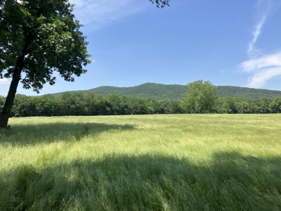 Spectacular 60 acre property that checks all of the boxes. - image 30