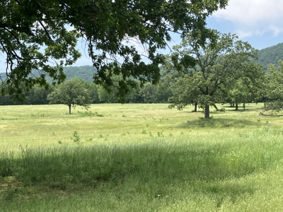Spectacular 60 acre property that checks all of the boxes. - image 38