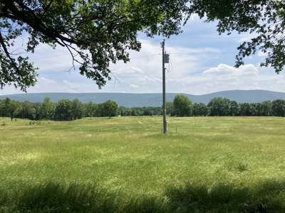 Spectacular 60 acre property that checks all of the boxes. - image 3
