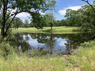 Spectacular 60 acre property that checks all of the boxes. - image 7