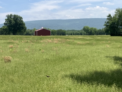 Spectacular 60 acre property that checks all of the boxes. - image 15
