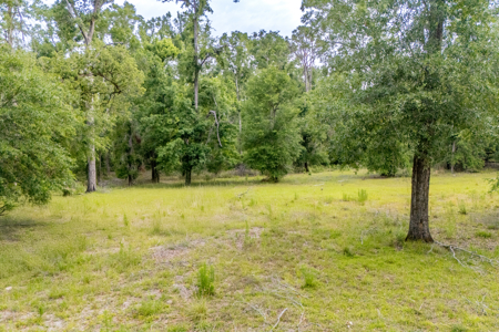 Hunting Land for Sale in Suwannee County, Florida - image 15
