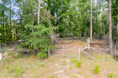 Hunting Land for Sale in Suwannee County, Florida - image 16