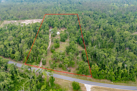 Hunting Land for Sale in Suwannee County, Florida - image 3