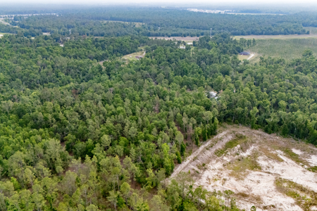 Hunting Land for Sale in Suwannee County, Florida - image 10