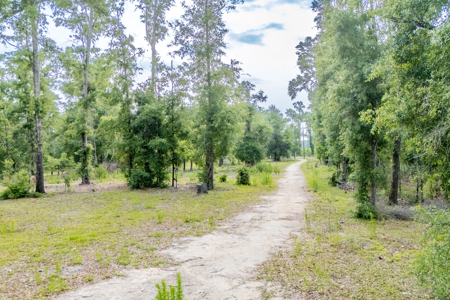 Hunting Land for Sale in Suwannee County, Florida - image 12