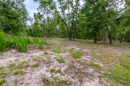 Hunting Land for Sale in Suwannee County, Florida - image 2