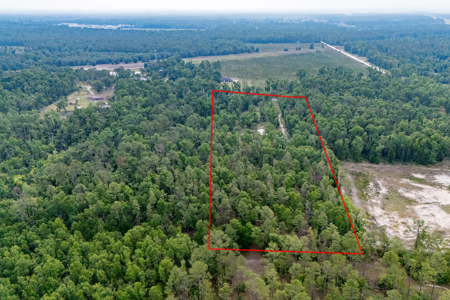 Hunting Land for Sale in Suwannee County, Florida - image 9