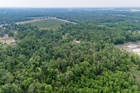 Hunting Land for Sale in Suwannee County, Florida - image 6