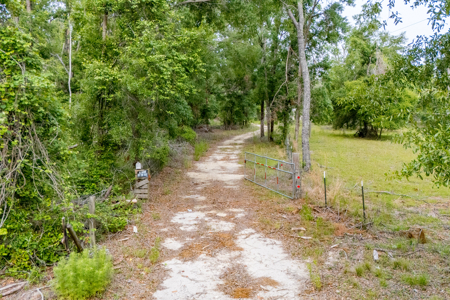 Hunting Land for Sale in Suwannee County, Florida - image 11