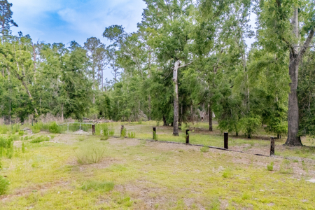 Hunting Land for Sale in Suwannee County, Florida - image 13