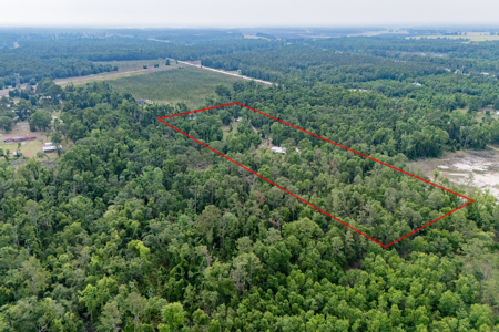 Hunting Land for Sale in Suwannee County, Florida - image 8