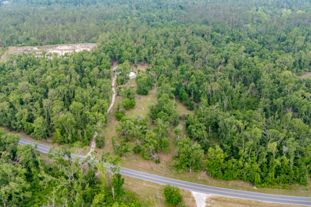 Hunting Land for Sale in Suwannee County, Florida - image 4