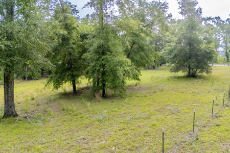 Hunting Land for Sale in Suwannee County, Florida - image 14