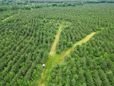 Hunting Land in Morehouse Parish Near Bastrop, LA - image 10