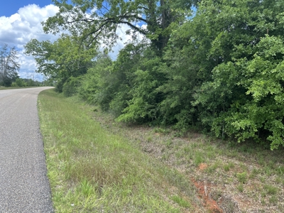 20 acres on Rose Hill Road in Covington County - image 4