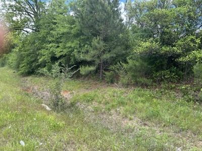 20 acres on Rose Hill Road in Covington County - image 1