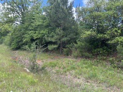 20 acres on Rose Hill Road in Covington County - image 2