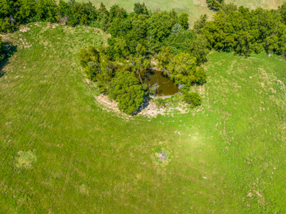 20 Acres of Pasture Land For Sale in Paris TX, Lamar County TX - image 3