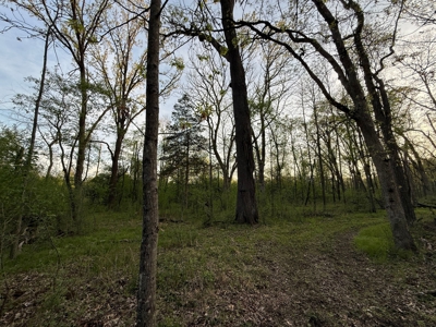Secluded 66-Acre Hunting Paradise Portage, WI - image 35