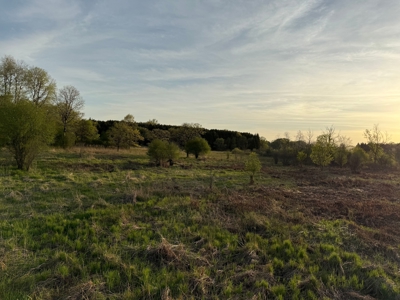 Secluded 66-Acre Hunting Paradise Portage, WI - image 31