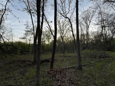 Secluded 66-Acre Hunting Paradise Portage, WI - image 36