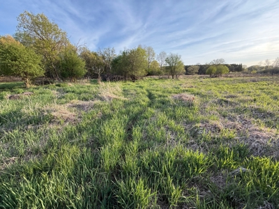 Secluded 66-Acre Hunting Paradise Portage, WI - image 23