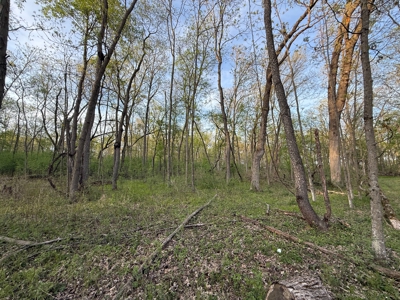 Secluded 66-Acre Hunting Paradise Portage, WI - image 6
