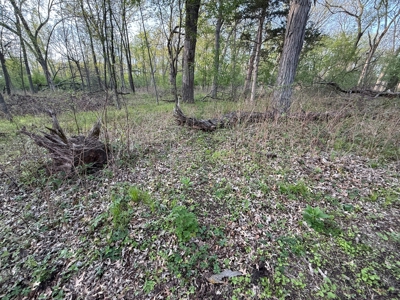 Secluded 66-Acre Hunting Paradise Portage, WI - image 9