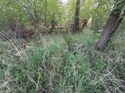 Secluded 66-Acre Hunting Paradise Portage, WI - image 14