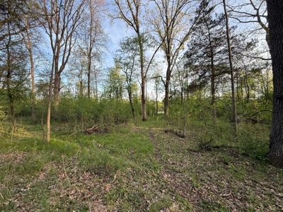 Secluded 66-Acre Hunting Paradise Portage, WI - image 8