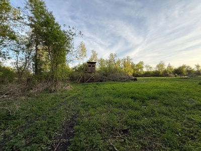 Secluded 66-Acre Hunting Paradise Portage, WI - image 12