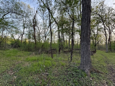 Secluded 66-Acre Hunting Paradise Portage, WI - image 34