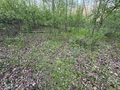 Secluded 66-Acre Hunting Paradise Portage, WI - image 4