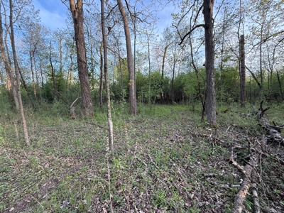 Secluded 66-Acre Hunting Paradise Portage, WI - image 7