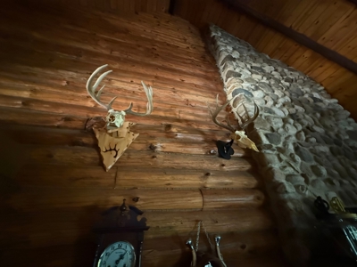 Secluded 66-Acre Hunting Paradise Portage, WI - image 41